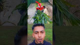 দেখেন কি জিনিস আবিষ্কার করেছে#short #video #funny #comedy #reaction