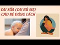 Cai Sữa/Cai Bú Mẹ Đúng Cách - Cai Sữa Mẹ Không Nước Mắt