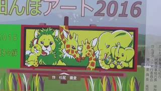 田んぼアート　北海道　鷹栖町　JAたいせつ　田んぼアート　北海道の旅　Ｎｏ.２６０　２０１６・７・２２