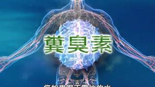 電解還原水解說﹣Enagic 定展國際