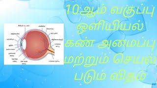 10ஆம் வகுப்பு ஒளியியல் கண் அமைப்பு மற்றும் செயல் படும் விதம் #10science #eye