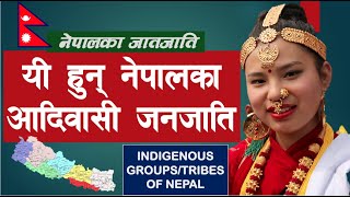 नेपालका आदिवासी जनजाति |Indigenous Groups of Nepal |Nepal Update