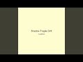 Shadow Fragile Drift