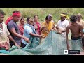 fish farming fish caching pond fish farming ମାଛ ଚାଷ ସମ୍ୱନ୍ୱିତ ମାଛ ଚାଷ pisciculture