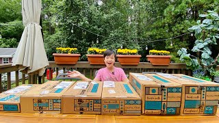 K12 ONLINE SCHOOL SUPPLIES UNBOXING|3rd Grade 2020-2021