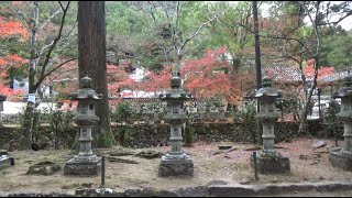 佛通寺の紅葉　落葉が明るいころ　(・A・)　　（広島県三原市　2021.11.22）