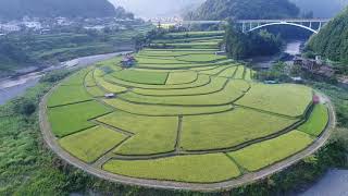 20170824 8月の有田川町清水 あらぎ島