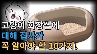 집사가 꼭 알아야하는 고양이 화장실 기본상식 10가지! #고양이 #고양이행동 #고양이화장실 #cat #반려동물