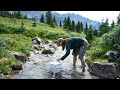 Banff National Park restores native trout to backcountry lake