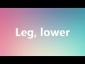 Leg, lower - Medical Meaning and Pronunciation