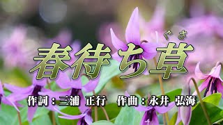 春待ち草　作詞：三浦正行　作曲：永井弘海　歌手募集！