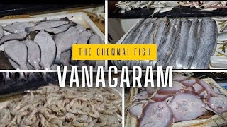 வானகரம் மீன் மார்க்கெட் விலை நிலவரம் | 7/11/24 | Vanagaram Fish Market #fishmarket #thechennaifish