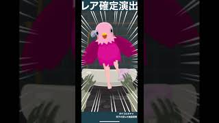 ポケコロガチャ動画(単発)レア確定演出【双子の歪んだ幽霊屋敷】