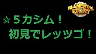 エレスト日記213　☆５カシムの試練　初見でレッツゴー！