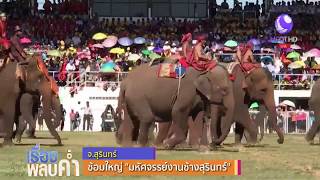 อลังการมหัศจรรย์งานช้างสุรินทร์ ซ้อมใหญ่ใช้ช้างกว่า 200 เชือก