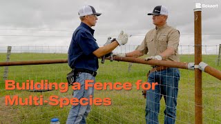 Building a Fence for Multi-Species | Bekaert Fencing