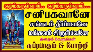 சனி பகவானை நேருக்குநேர் வணங்காமல் பக்கவாட்டில் நின்றவாறு வணங்க வேண்டும் | பாம்பே சாரதா | சிவம்ஆடியோ