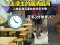 走读生的崩溃瞬间走读生 内容过于真实 学生时代 猫meme