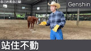 【Genshin】把馬綁在地板上！？教馬原地站好不要亂跑，就算人走了馬也不能跑掉。