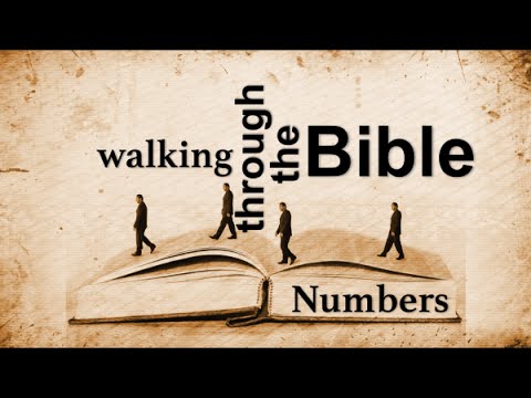 An Overview Of The Book Of Numbers - YouTube