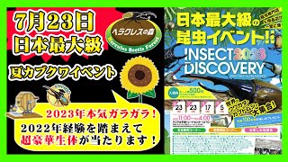 【ガラガラ抽選会編】2023年7月23日に大阪ATCで開催される日本最大級のカブクワイベントでもあるインセクトディスカバリーで実施予定のガラガラ抽選会でご提供予定の生体を一部お見せします！