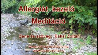 Allergiát kezelő Meditáció - Paksi Zoltán