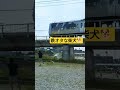 電車好きな柴犬　 柴犬 おもしろ動画 電車好き 鉄オタ 走る 可愛い犬