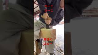 【ガガリ挽き】手鋸。#short #shorts #手刻み #japanesecarpentry