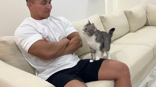 飼い主がゴリマッチョになってたときの猫のリアクションがかわいすぎたw