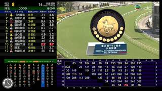 賽馬直擊-2021東方表行60週年沙田錦標參戰馬介紹(17/10/2021第8場) Runners of 2021 Sha Tin Trophy