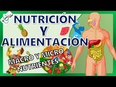 CONCEPTOS BÁSICOS DE NUTRICIÓN Y ALIMENTACIÓN | GuiaMed - YouTube