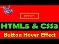 Button hover effect css animation | Learn html and css | By Amazing Techno Tutorials