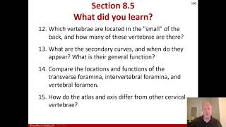 BIO 246 A\u0026P Ch 8.5c-8.6 Spinal Vertebrae and Bones of the Thoracic Cage