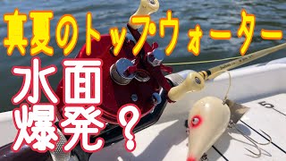 真夏のトップウォーターゲーム！ 水面爆発？ 2021.8.30