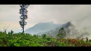 Trip to Nayadampoyil-Kakkadampoyil | Best Tourist Spot In Kozhikode District