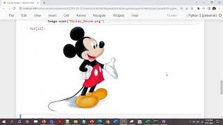 python - How to display an image in Jupyter Notebook ?