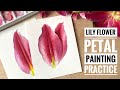 Lily flower petal watercolor painting practice | Lily flower art