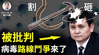 張文宏「與病毒共存」被批判！路線鬥爭來了，人禍還遠嗎？「砸」與「割」：工具決定思維（文昭談古論今20210809第970期）