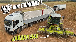 🌽 🚛 ENSILAGE MAÏS aux CAMIONS \u0026 JOSKIN DRAKKAR 3 essieux ! 😍