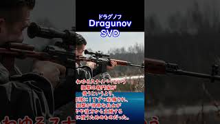 【実銃解説】 ロシアの戦術を形作るライフル Dragunov SVD 30秒解説1