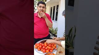 നാവിൽ കൊതിയൂറും  തക്കാളി അച്ചാർ #autism #Tomatopickle