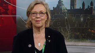 Elizabeth May apologizes for gallery speech