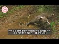 경찰견이 명령을 받자마자 사람을 구했고 그 뒤 벌어진 일에 모두가 눈물을 흘렸다.