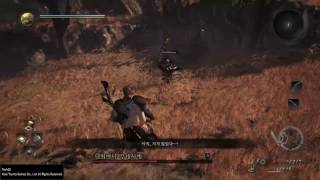 인왕(Nioh) 색다른 방식으로 서국무쌍 찢기 [화살머겅]