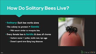 Crown Bees Live Webinar - April 8, 2020