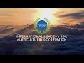 International Academy for Multicultural Cooperation