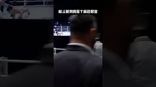 #格斗裁判真是个高位职业 选手被打懵一招降服裁判#mma #ufc#搞笑