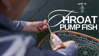 How to Throat Pump a Fish