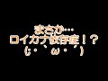 興奮しすぎて顎がガクガクするポメラニアン【はなポメ 277】