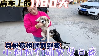 为了给露营山庄小狗打疫苗，抓紧时间回家，山庄母鸡吓的鸡蛋吃出来蟹黄的味道【房车兵哥之旅】